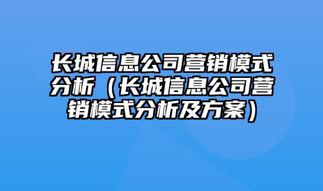 长城信息公司营销模式分析（长城信息公司营销模式分析及方案）