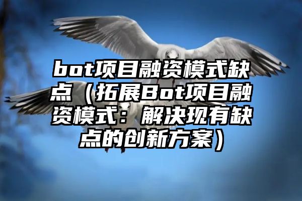 bot项目融资模式缺点（拓展Bot项目融资模式：解决现有缺点的创新方案）