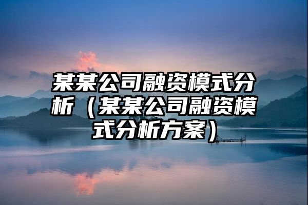 某某公司融资模式分析（某某公司融资模式分析方案）