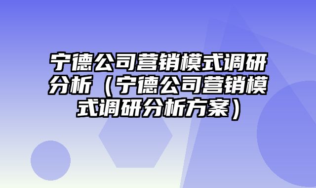 宁德公司营销模式调研分析（宁德公司营销模式调研分析方案）