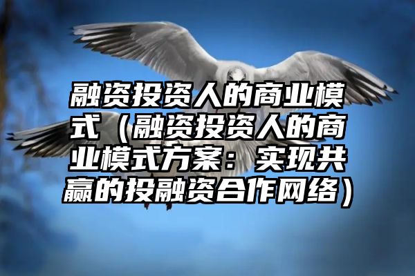 融资投资人的商业模式（融资投资人的商业模式方案：实现共赢的投融资合作网络）