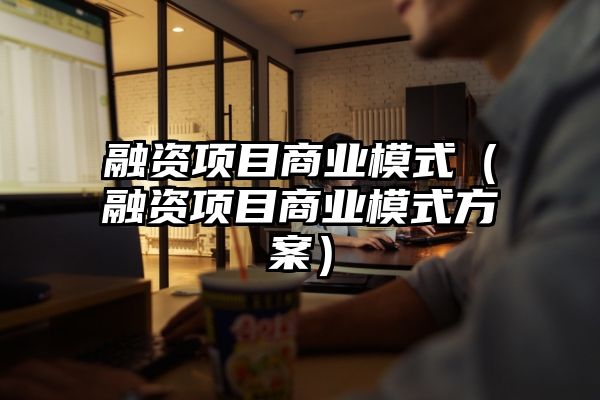 融资项目商业模式（融资项目商业模式方案）