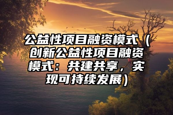 公益性项目融资模式（创新公益性项目融资模式：共建共享，实现可持续发展）