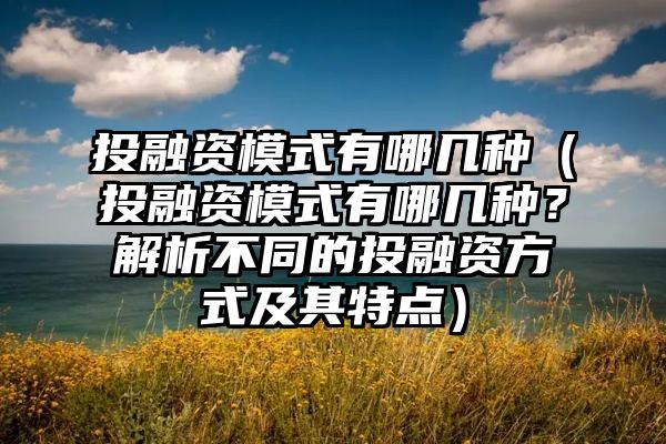 投融资模式有哪几种（投融资模式有哪几种？解析不同的投融资方式及其特点）