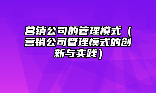 营销公司的管理模式（营销公司管理模式的创新与实践）