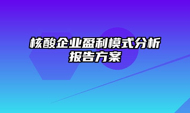 核酸企业盈利模式分析报告方案