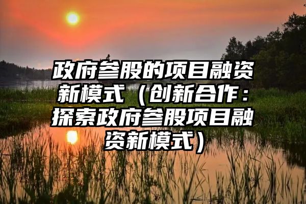 政府参股的项目融资新模式（创新合作：探索政府参股项目融资新模式）