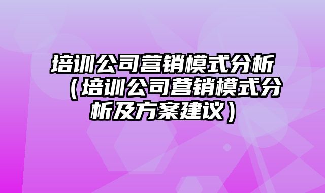 培训公司营销模式分析（培训公司营销模式分析及方案建议）