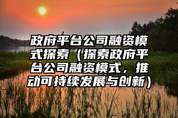 政府平台公司融资模式探索（探索政府平台公司融资模式，推动可持续发展与创新）