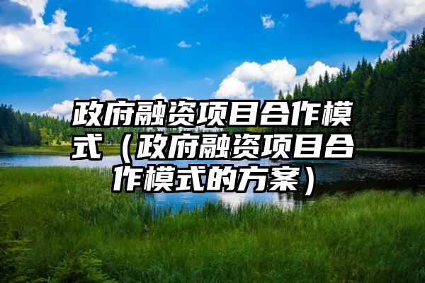 政府融资项目合作模式（政府融资项目合作模式的方案）