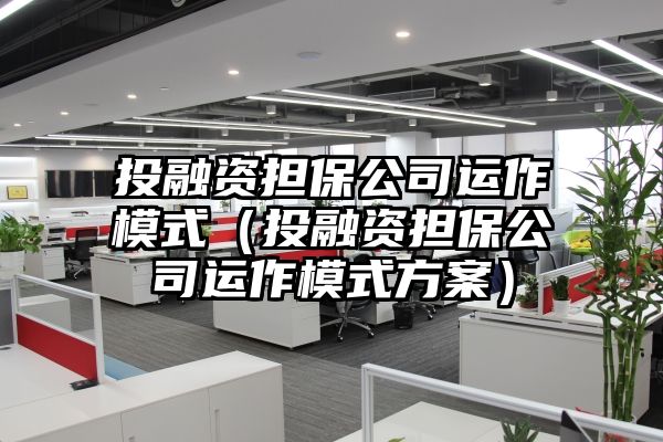 投融资担保公司运作模式（投融资担保公司运作模式方案）