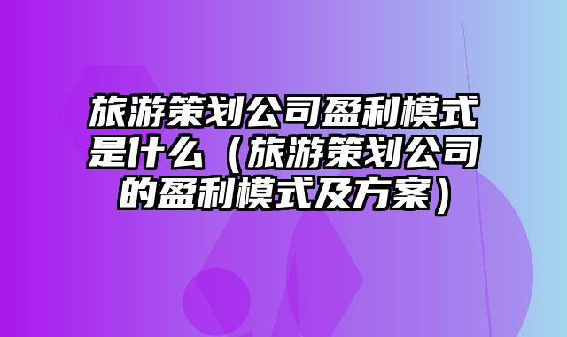 旅游策划公司盈利模式是什么（旅游策划公司的盈利模式及方案）