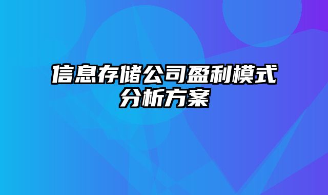 信息存储公司盈利模式分析方案