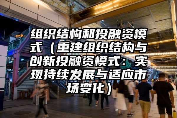 组织结构和投融资模式（重建组织结构与创新投融资模式：实现持续发展与适应市场变化）