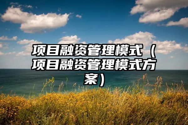 项目融资管理模式（项目融资管理模式方案）