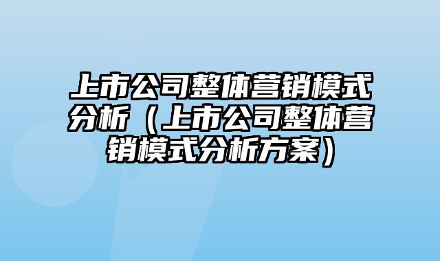 上市公司整体营销模式分析（上市公司整体营销模式分析方案）