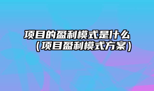 项目的盈利模式是什么（项目盈利模式方案）