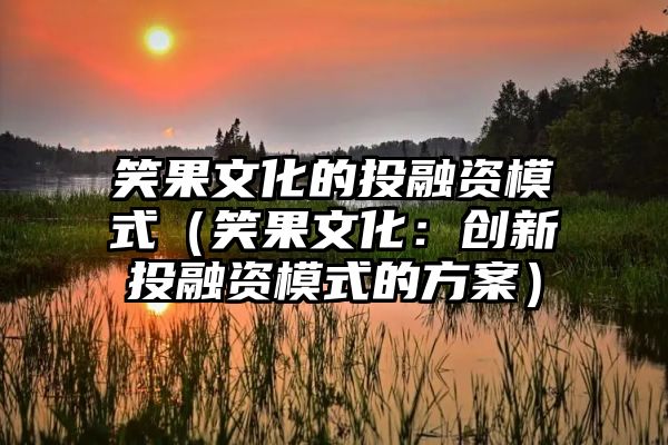 笑果文化的投融资模式（笑果文化：创新投融资模式的方案）