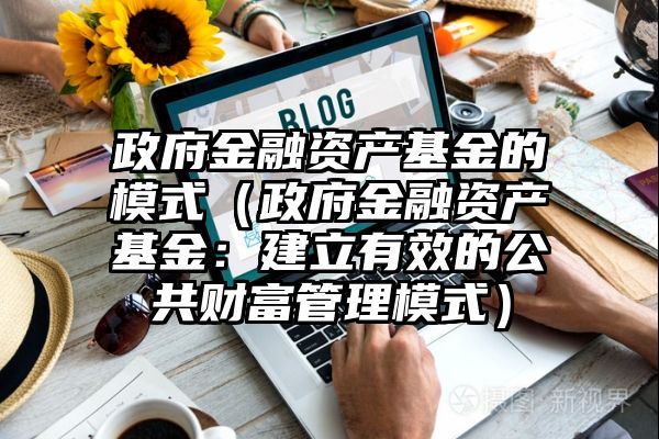 政府金融资产基金的模式（政府金融资产基金：建立有效的公共财富管理模式）