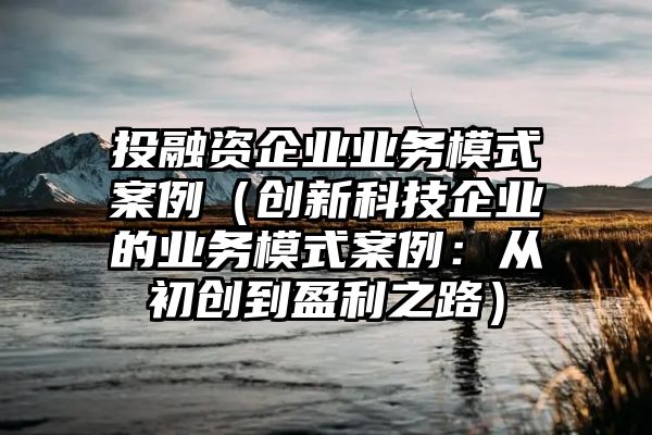 投融资企业业务模式案例（创新科技企业的业务模式案例：从初创到盈利之路）