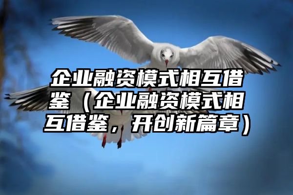 企业融资模式相互借鉴（企业融资模式相互借鉴，开创新篇章）