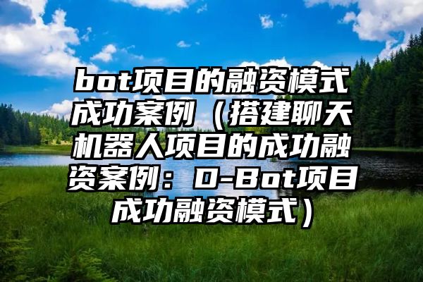 bot项目的融资模式成功案例（搭建聊天机器人项目的成功融资案例：D-Bot项目成功融资模式）