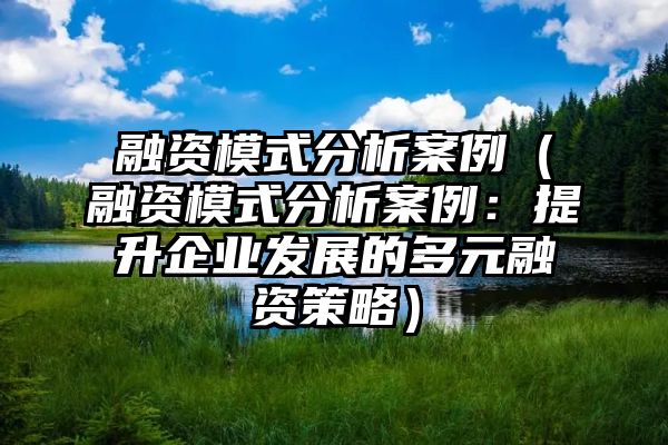 融资模式分析案例（融资模式分析案例：提升企业发展的多元融资策略）