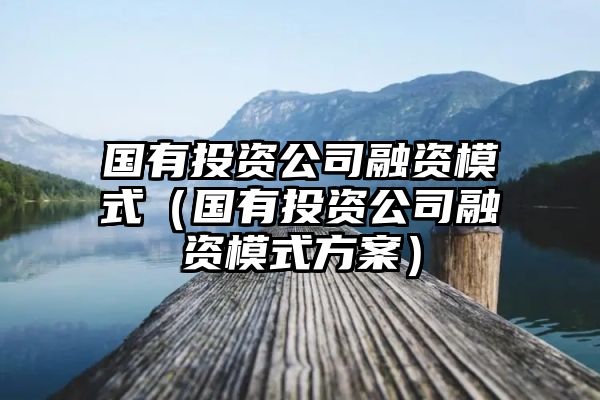 国有投资公司融资模式（国有投资公司融资模式方案）