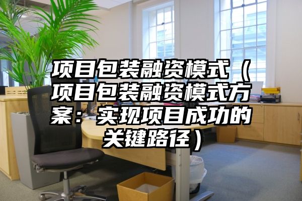 项目包装融资模式（项目包装融资模式方案：实现项目成功的关键路径）