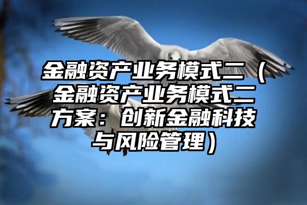 金融资产业务模式二（金融资产业务模式二方案：创新金融科技与风险管理）