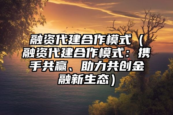 融资代建合作模式（融资代建合作模式：携手共赢、助力共创金融新生态）