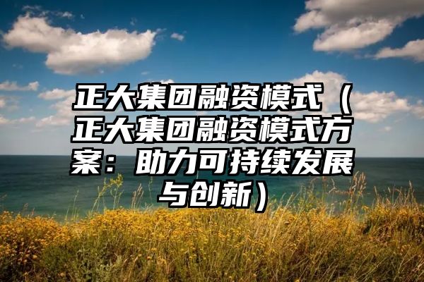 正大集团融资模式（正大集团融资模式方案：助力可持续发展与创新）