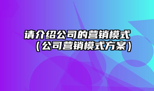 请介绍公司的营销模式（公司营销模式方案）