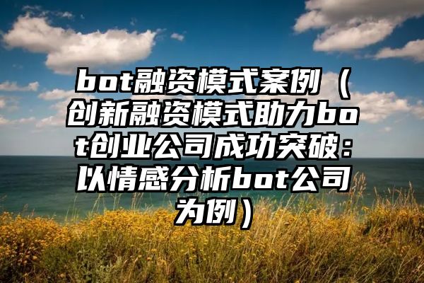 bot融资模式案例（创新融资模式助力bot创业公司成功突破：以情感分析bot公司为例）