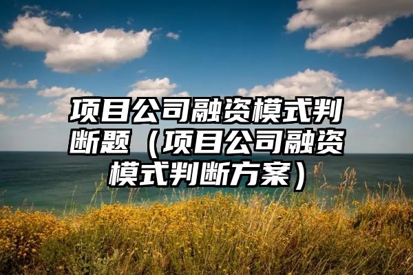 项目公司融资模式判断题（项目公司融资模式判断方案）