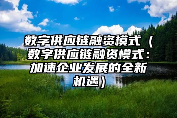 数字供应链融资模式（数字供应链融资模式：加速企业发展的全新机遇）