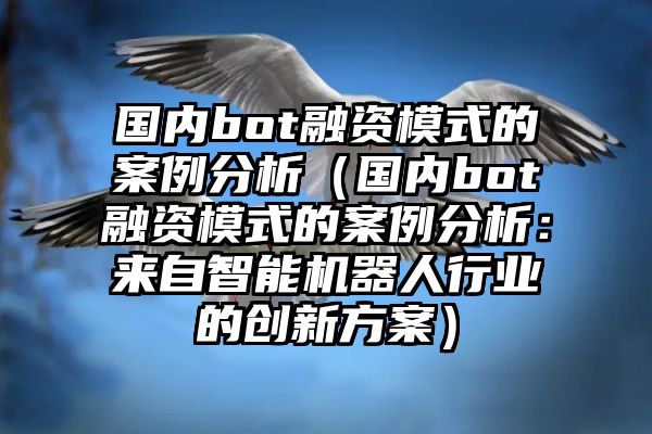 国内bot融资模式的案例分析（国内bot融资模式的案例分析：来自智能机器人行业的创新方案）