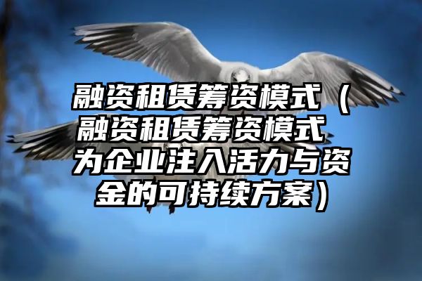 融资租赁筹资模式（融资租赁筹资模式 为企业注入活力与资金的可持续方案）