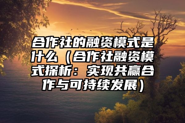 合作社的融资模式是什么（合作社融资模式探析：实现共赢合作与可持续发展）