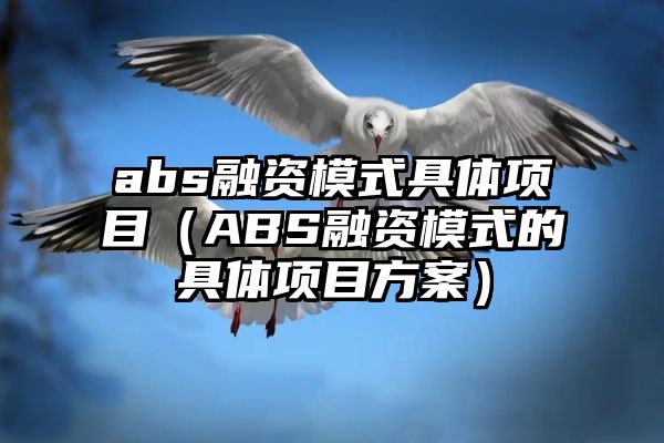 abs融资模式具体项目（ABS融资模式的具体项目方案）