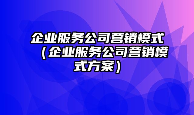 企业服务公司营销模式（企业服务公司营销模式方案）