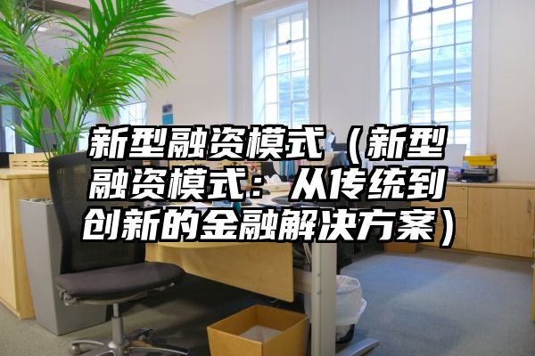 新型融资模式（新型融资模式：从传统到创新的金融解决方案）