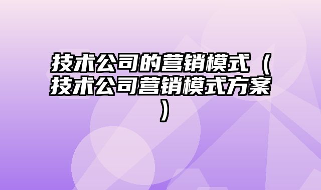 技术公司的营销模式（技术公司营销模式方案）