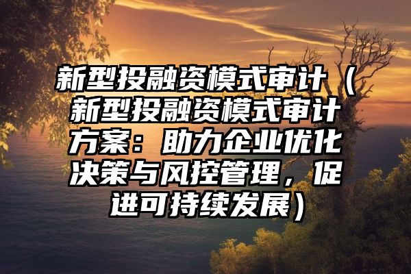 新型投融资模式审计（新型投融资模式审计方案：助力企业优化决策与风控管理，促进可持续发展）