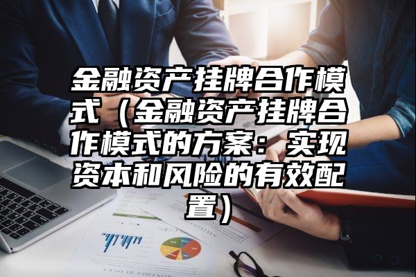 金融资产挂牌合作模式（金融资产挂牌合作模式的方案：实现资本和风险的有效配置）