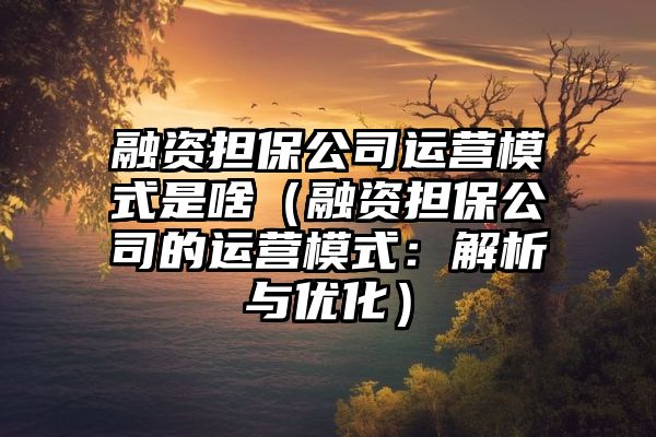 融资担保公司运营模式是啥（融资担保公司的运营模式：解析与优化）