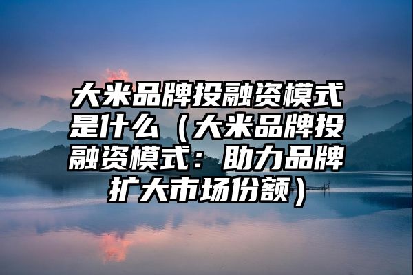 大米品牌投融资模式是什么（大米品牌投融资模式：助力品牌扩大市场份额）