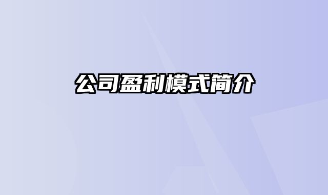 公司盈利模式简介