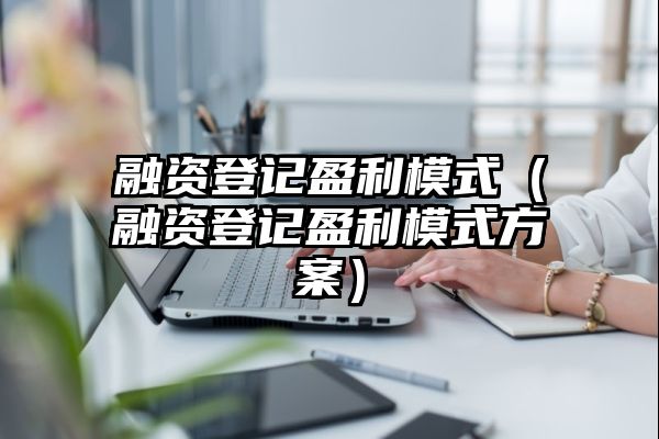 融资登记盈利模式（融资登记盈利模式方案）