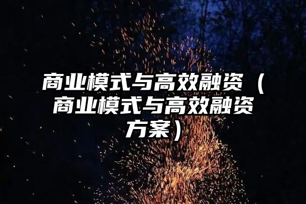 商业模式与高效融资（商业模式与高效融资方案）